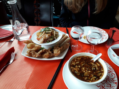 Le Dragon d'Europe — photo 8