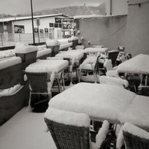 Bistrot du Coin — photo 3