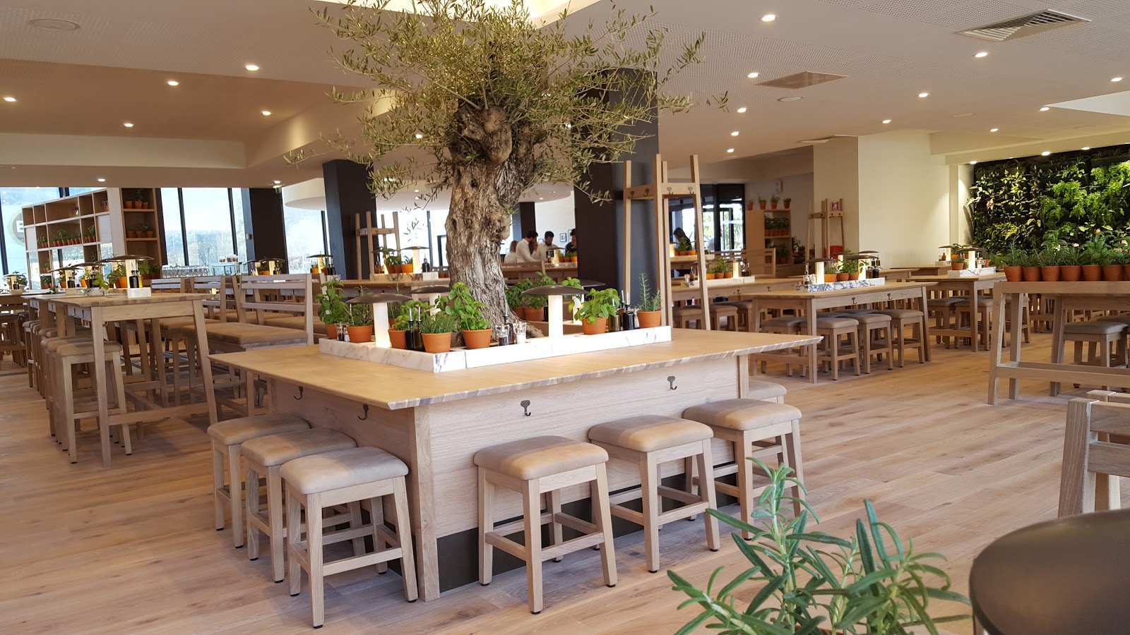 Vapiano la Valentine — photo 1