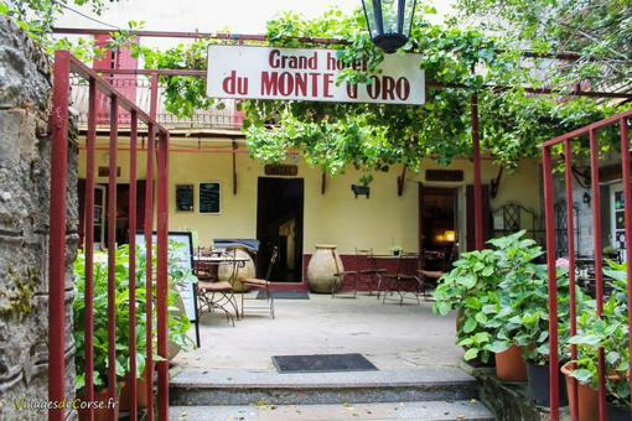 Monte d'oro