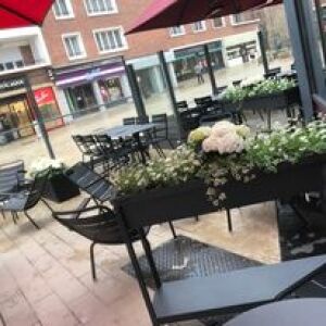 Le Grand Morien — photo 4
