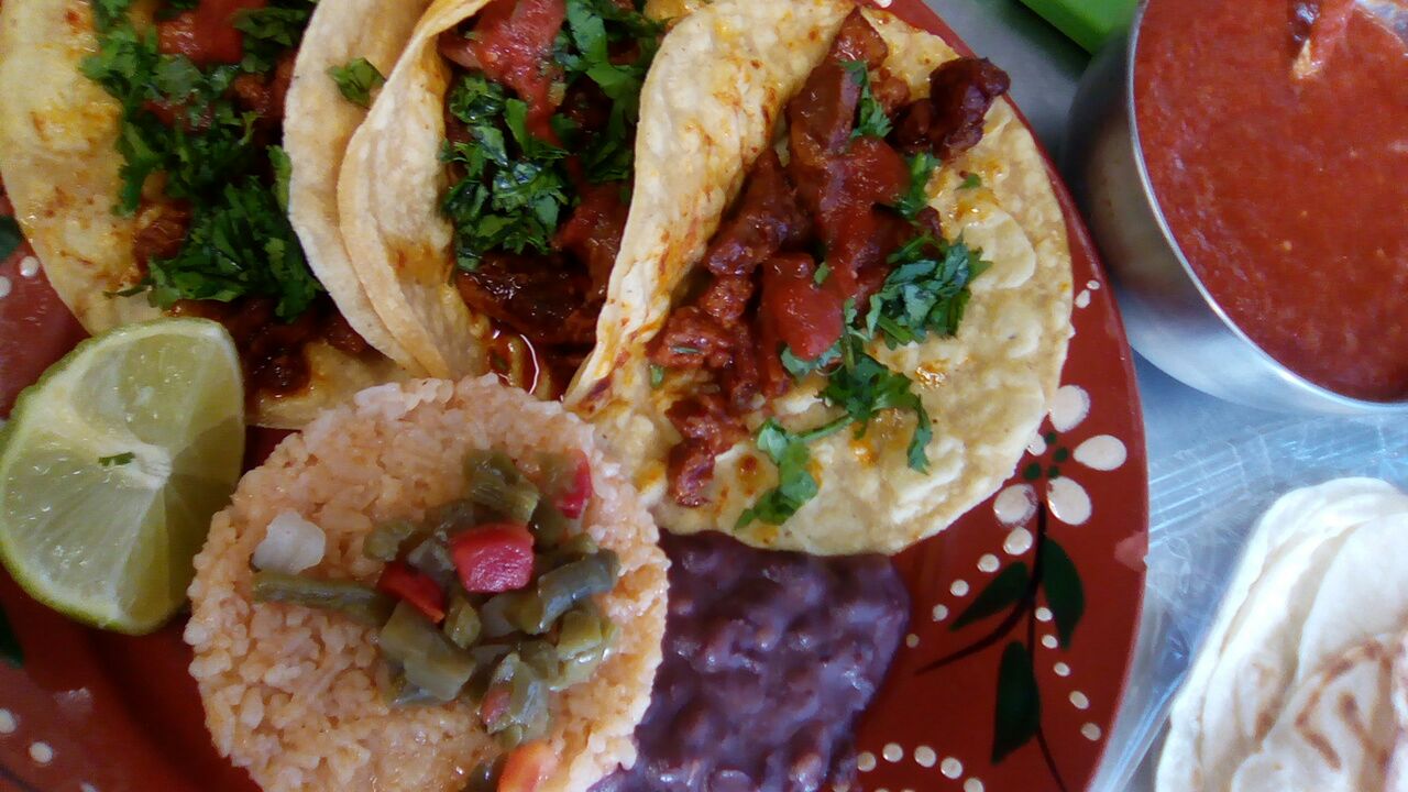 Chicatana