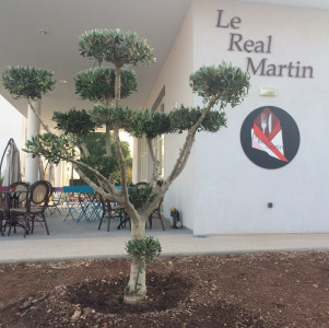 Le Réal Martin — photo 5
