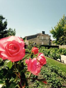 Le Saint-Julien — photo 7