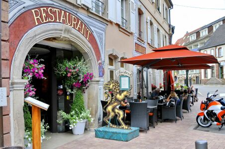 Le lion d'or — photo 4