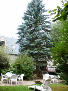 Auberge de l'atre — photo 5