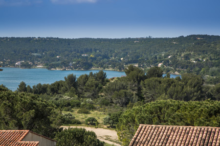Les sens de la toupine  — photo 5