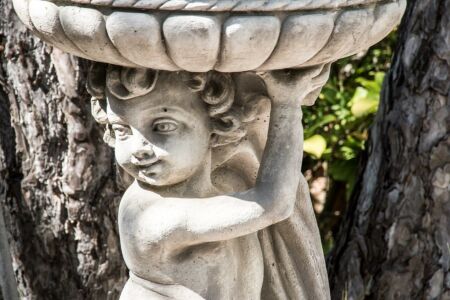 Lou pebre d'aï — photo 5