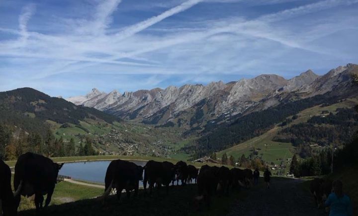 La Ferme des Corbassières