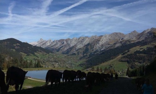 La Ferme des Corbassières