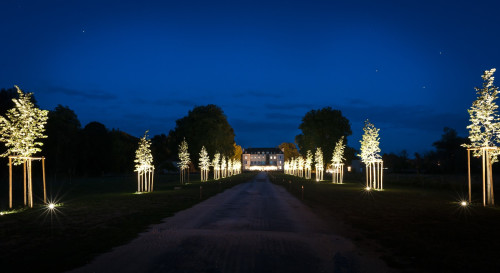 Chateau De Saulon — photo 8