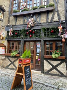 Les petits ventres — photo 7