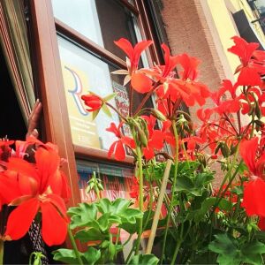 Aux 3 Roses — photo 4