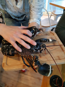 Le Clan des Fish — photo 2