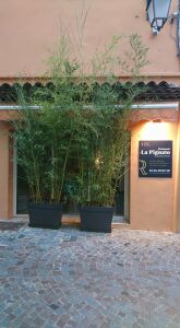 La pignato — photo 6