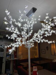Le Cantarel — photo 7