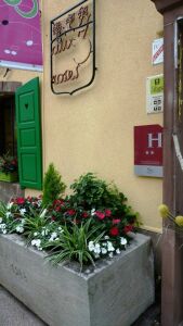 Aux Trois Roses — photo 4