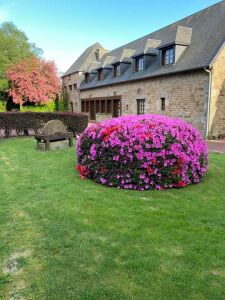 Manoir d'acherie — photo 7