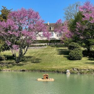 LA CHARTREUSE DE BIGNAC — photo 4
