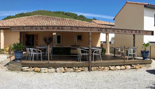 La Pourpre et les Oliviers — photo 2