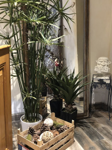 La Charrette — photo 7