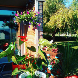 Jardin sur Court  — photo 10