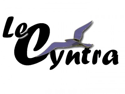 Le Cyntra