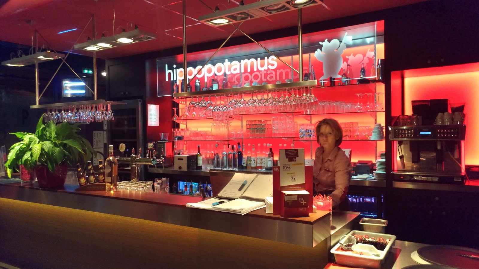 Hippopotamus — photo 2