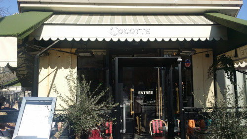 Cocotte — photo 3