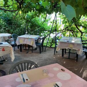 LE PROVENCAL — photo 5