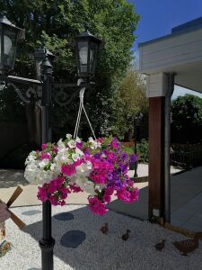 la vieille forge — photo 3