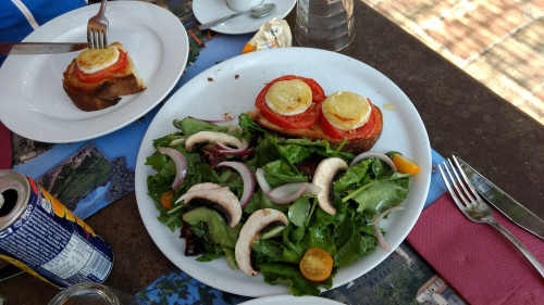 Vinauberge — photo 10