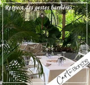 carte blanche by harold — photo 2