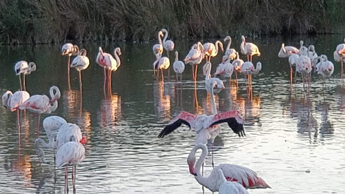Le Grand Sud — photo 8