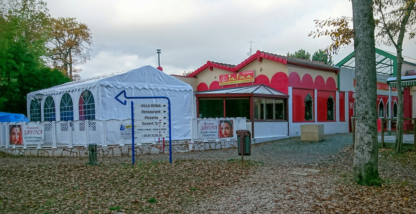 Safina