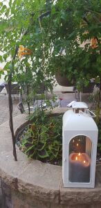  la menthe poivrée — photo 5