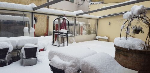 la menthe poivrée — photo 6