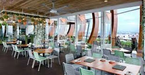 arbora café