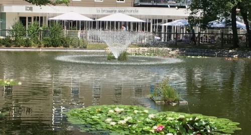 LBG La Brasserie Gourmande Juvigny — photo 4