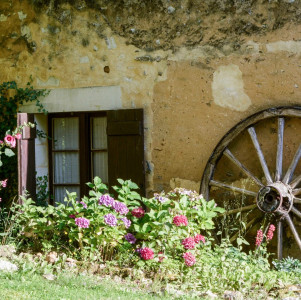 D'une Île — photo 2