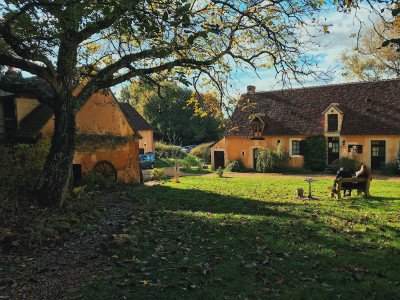 D'une Île — photo 9