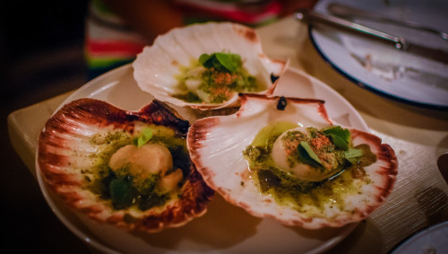 Clamato — photo 8