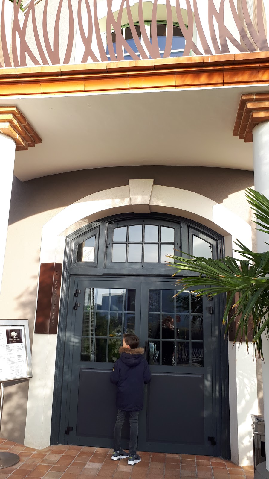 Le Mas des Oliviers — photo 2