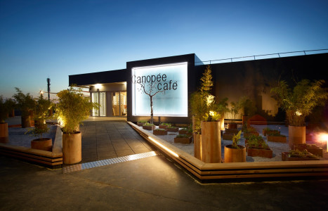 Canopee café