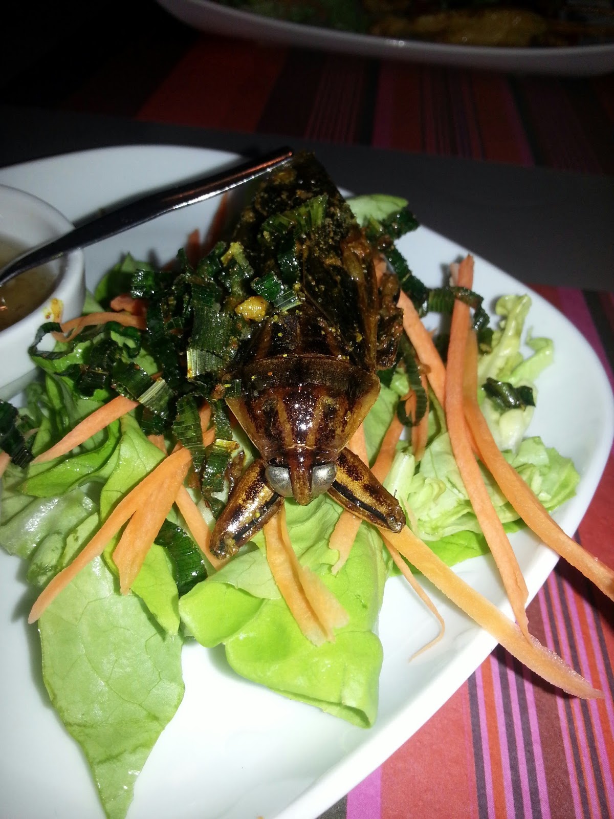 Ban Thai — photo 7