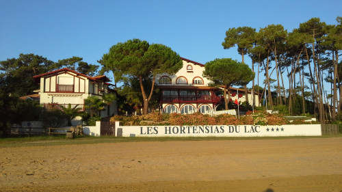 Les Hortensias du Lac — photo 7