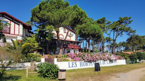 Les Hortensias du Lac — photo 9