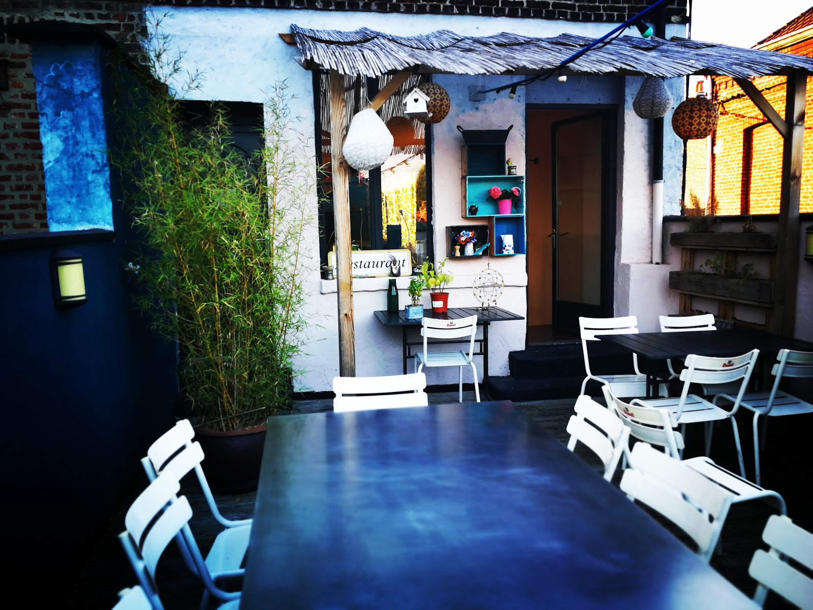 Rocambole — photo 4