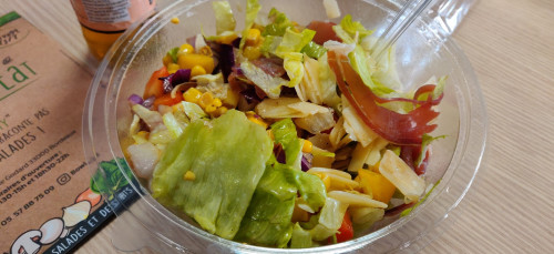 Bowl Eat — photo 8
