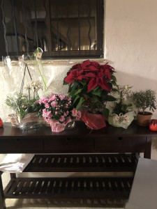 L’Épicurien — photo 3